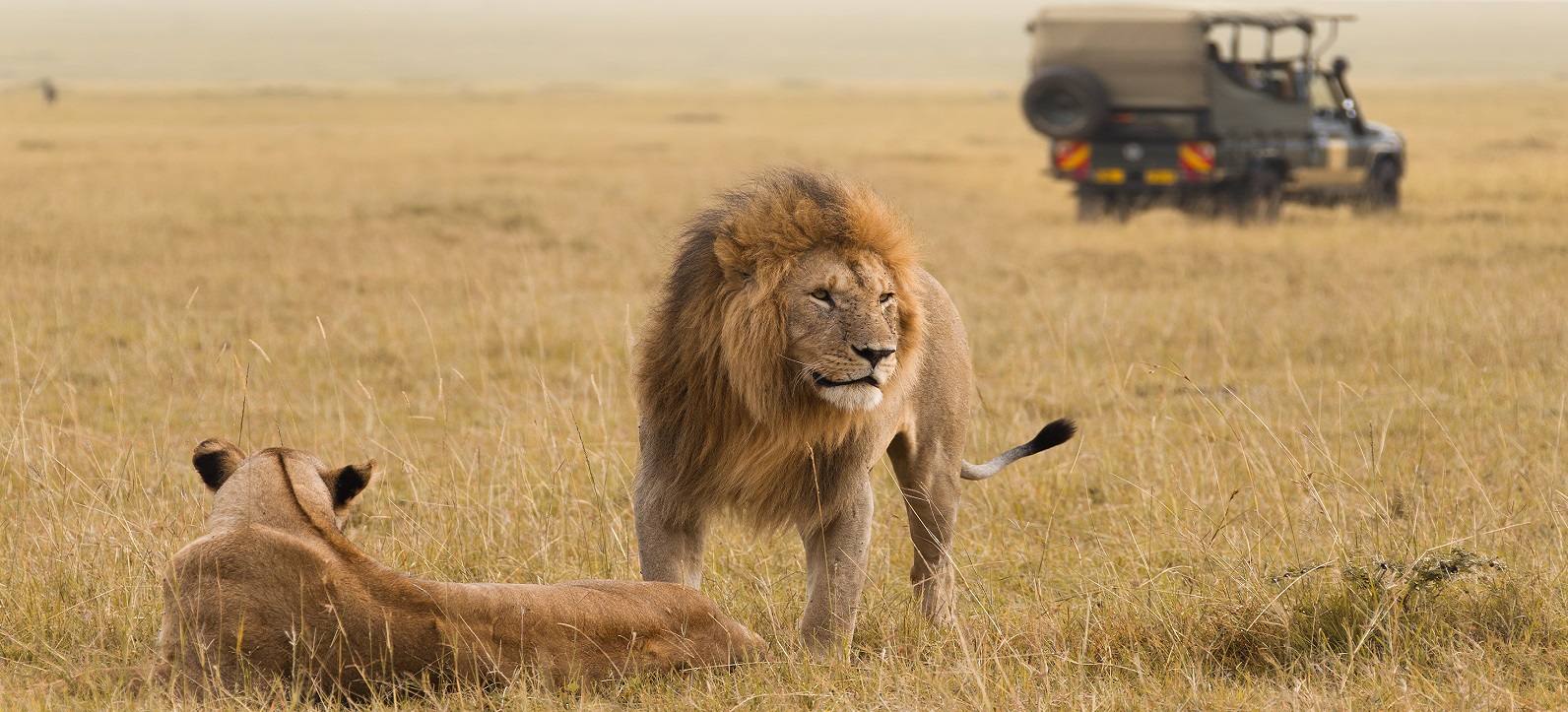 Safari in Rwanda (www.gorrillasafari-tour.com)
